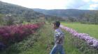 IMG-8db45d45dbc8db9f8fe708c71dd0dbf4-V
