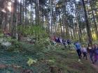 IMG-20211017-WA0005