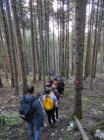 IMG-20211017-WA0009